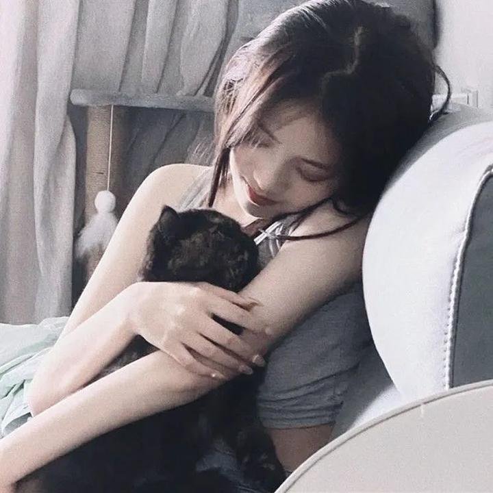 帮帮我托德第二季